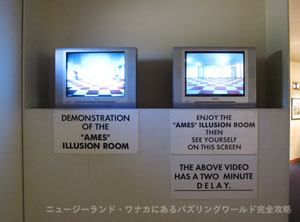 �f�B�X�v���C