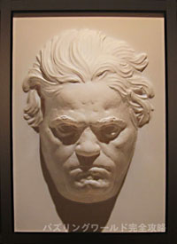 �x�[�g�[�x���H�i�g��j